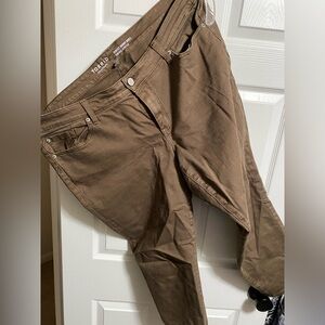 Torrid Brown Jeans Size 20 Tall